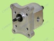 Tannhjulspumpe størrelse 1  -  10 C1X053 G